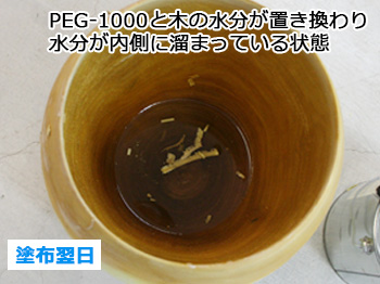 PEG-1000 (1kg缶)