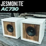 ジェスモナイト特集