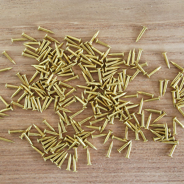 真ちゅう釘 M1.0x6mm (約220本入)