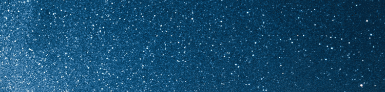 バーニア ノック式ペン金具 ボールペン/シャープペン両対応 (芯別売)ガンメタリック