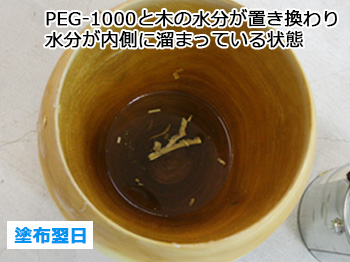 ▼PEG-1000 (20kg缶)