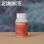 JESMONITE ジェスモナイト チキソロープ (増粘剤)100g