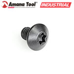 Amana Tool 67115 トルクスネジ