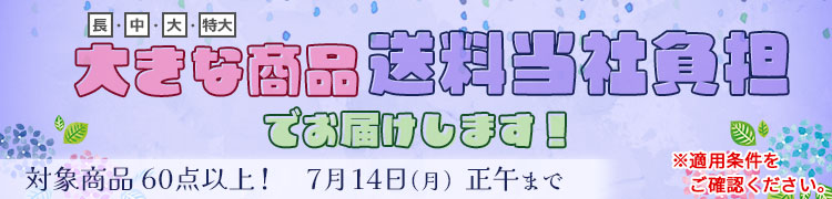アピール画像