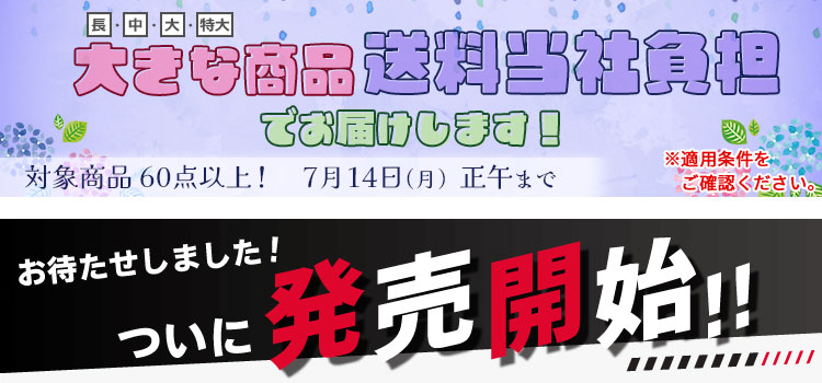 アピール画像
